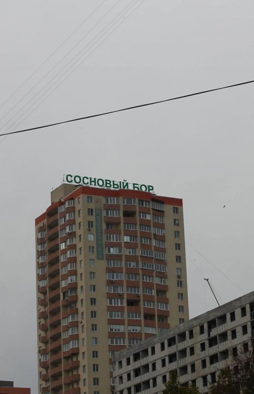 Крышная конструкция, Киев, по улице Олевская, 9