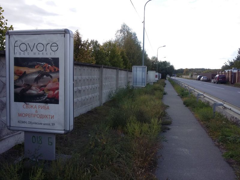 Ситилайт, Киев, Конча-Заспа, ул. Старокиевская, к Столичному шоссе